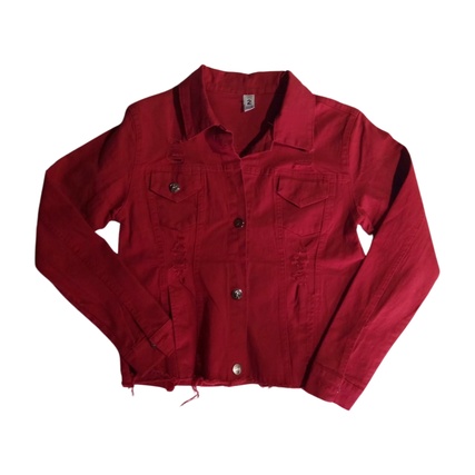 Campera de jean elastizada talle 2